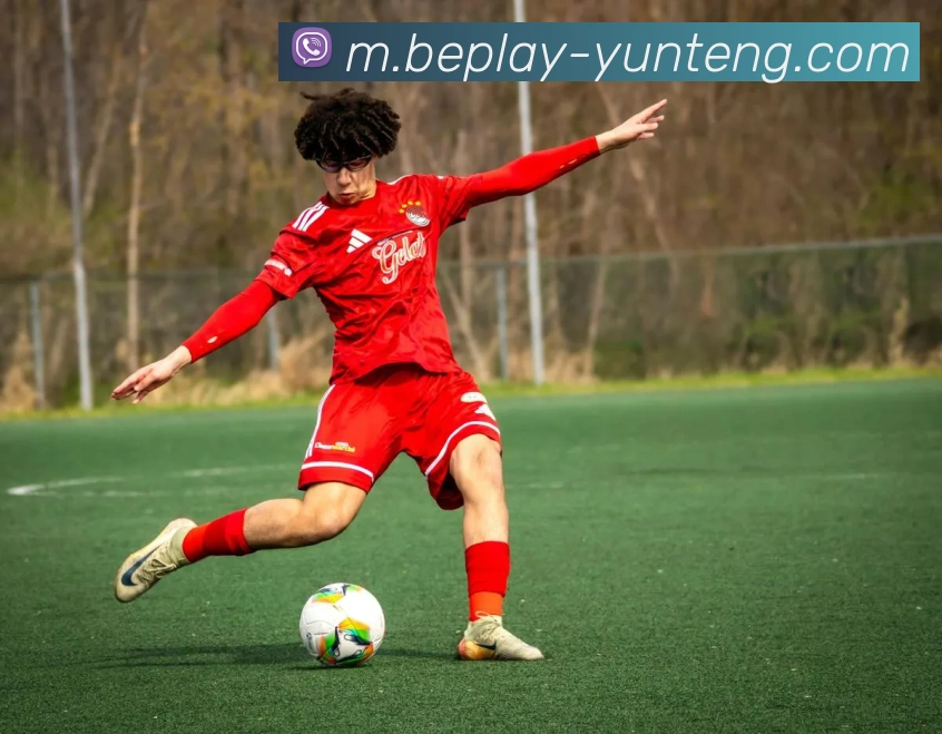 App功能展示图